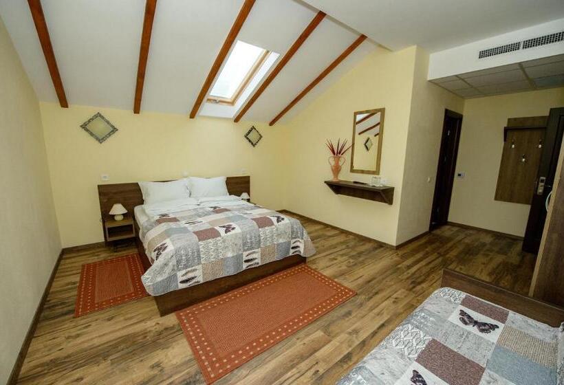 פנסיון Casa Bucatarului