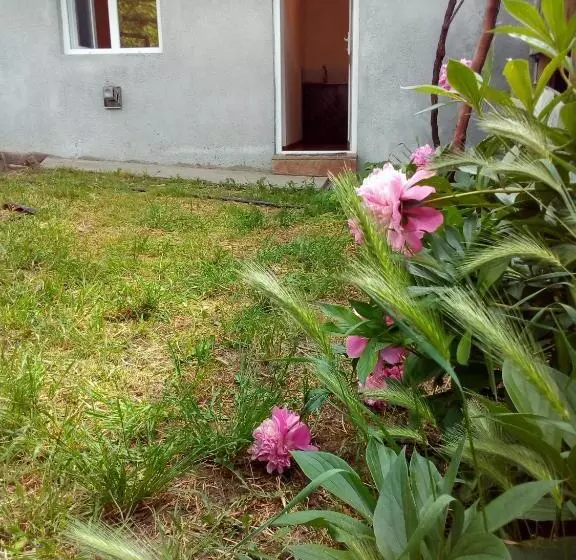 پانسیون Guest House