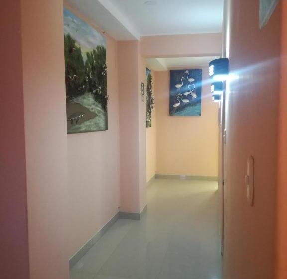 پانسیون Zorritos Plaza