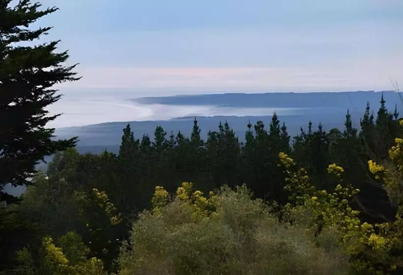 Lomakeskus Cabaña En La Costa De Pelluhue