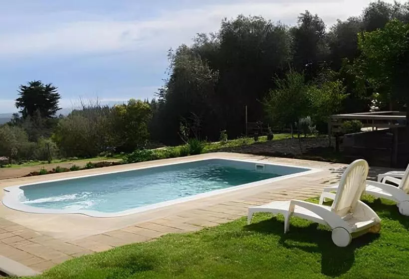 Lomakeskus Cabaña En La Costa De Pelluhue