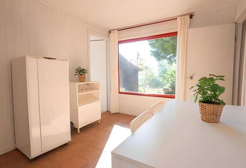 Resort Cabaña En La Costa De Pelluhue