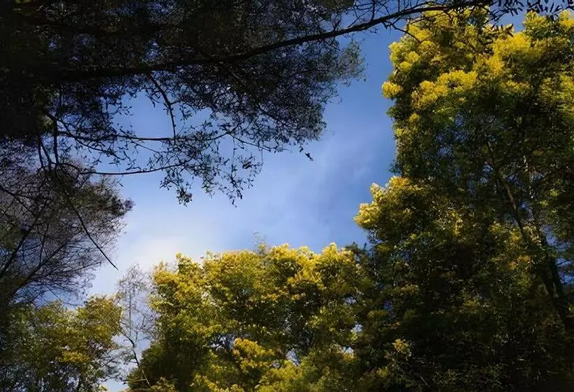 Lomakeskus Cabaña En La Costa De Pelluhue