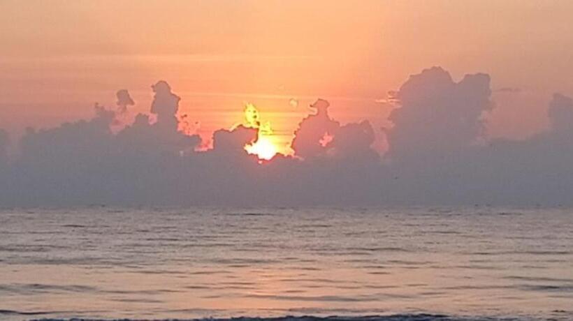 호텔 Cool Banyan Cabana