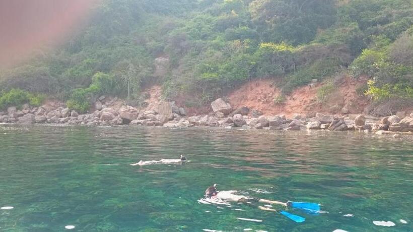 호텔 Cool Banyan Cabana