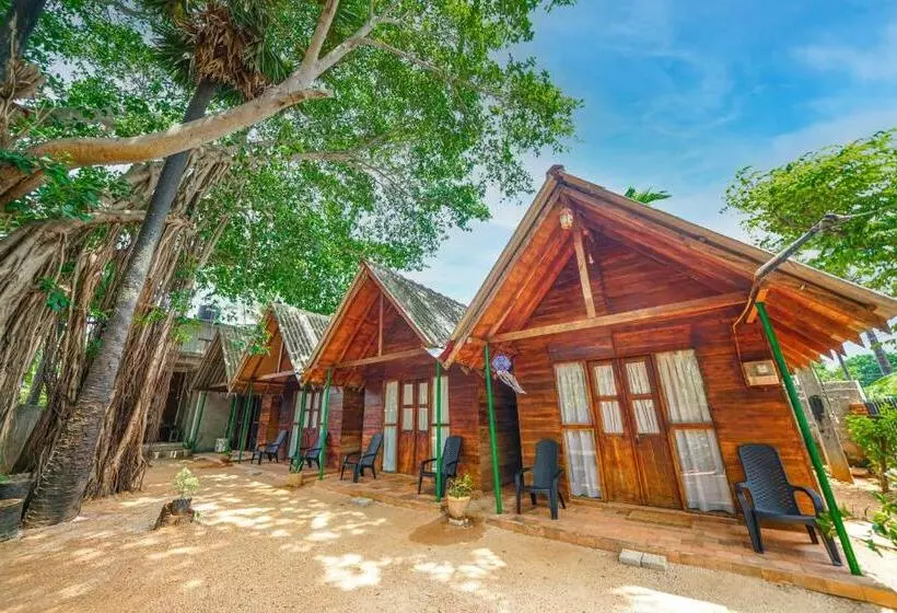 ホテル Cool Banyan Cabana