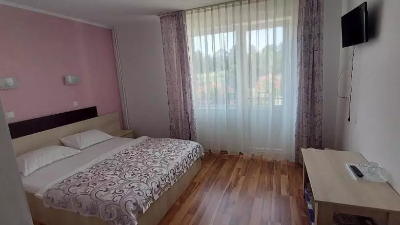 ペンション Vila Roxana