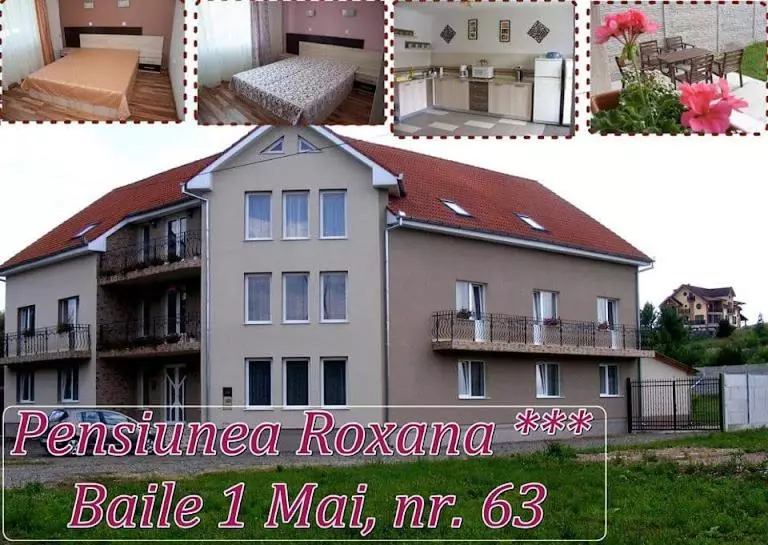 ペンション Vila Roxana