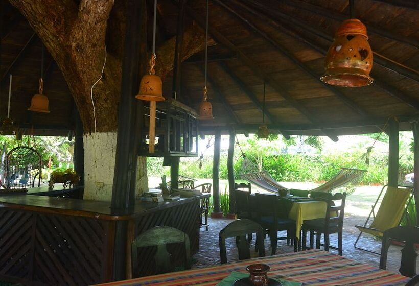 هاستل Dim S Hostal