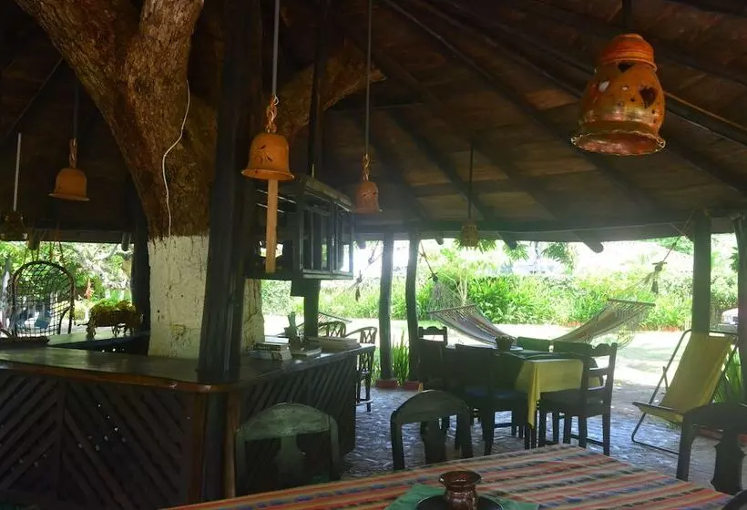 هاستل Dim S Hostal