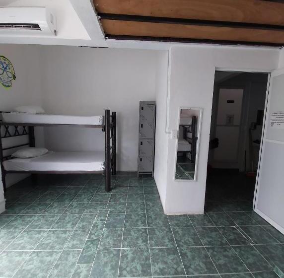 فندق صغير Emotion Avenida Tulum Hotel & Hostal