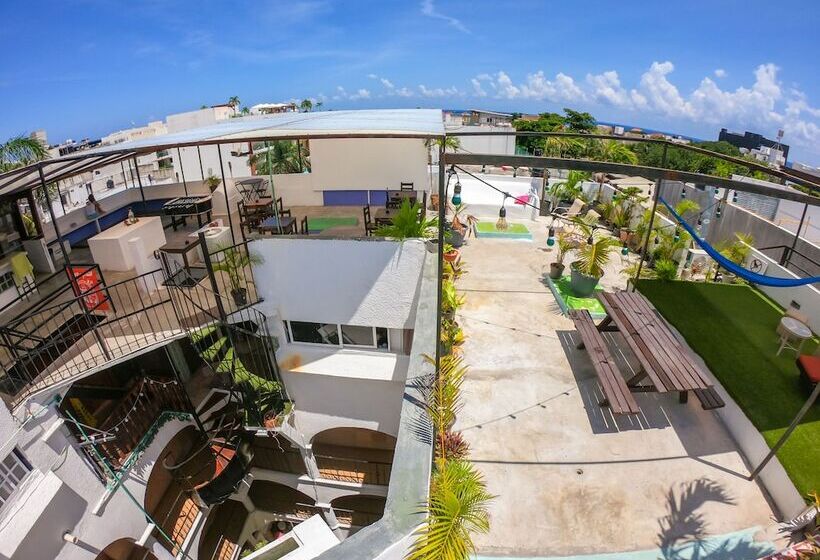 فندق صغير Izsla Suites