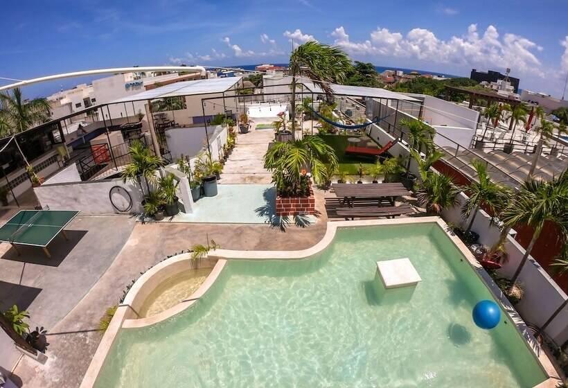 فندق صغير Izsla Suites