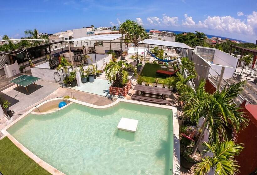 فندق صغير Izsla Suites