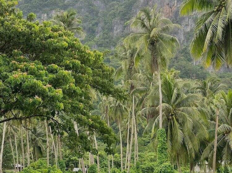 旅馆 Casa Juliana El Nido
