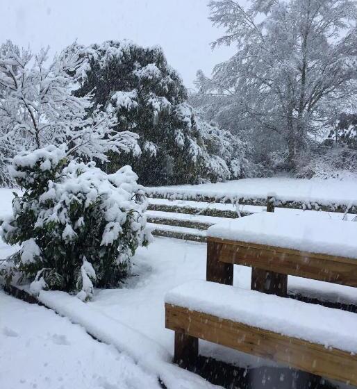 צימר Frankie & Hugh's