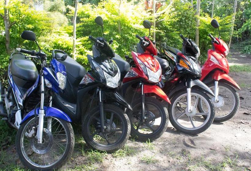 ベッドアンドブレックファースト Mahogany Upland Resort