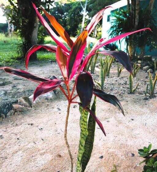 مبيت وإفطار Otoch Béek Calakmul