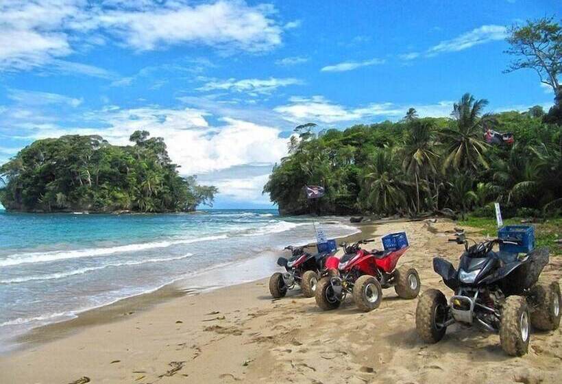 تختخواب و صبحانه Turtle Beach House