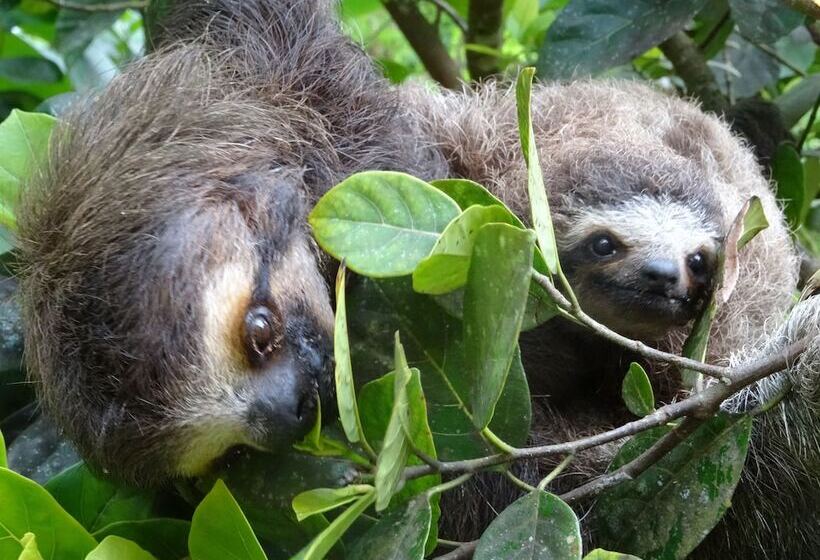 تختخواب و صبحانه Turtle Beach House