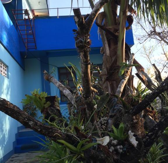 Dew Drop Inn Oceanside B&b