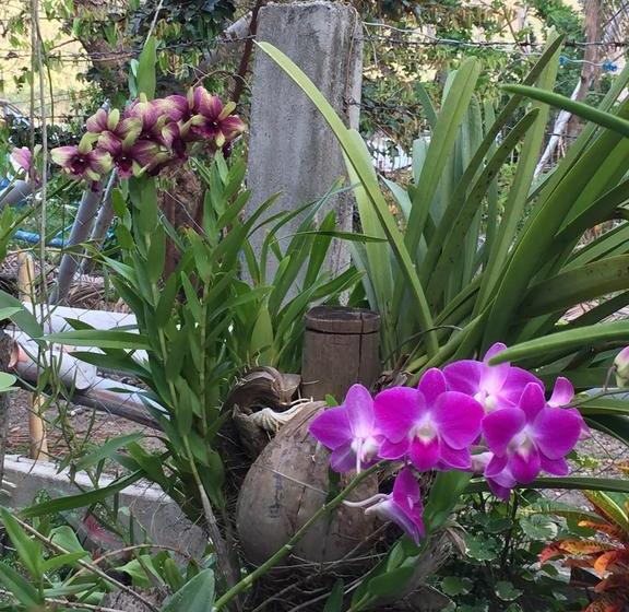 Dew Drop Inn Oceanside B&b