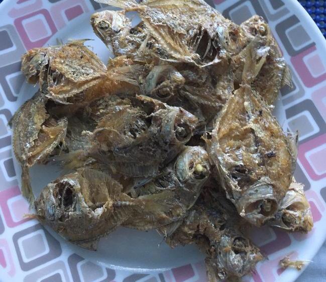 Dew Drop Inn Oceanside B&b