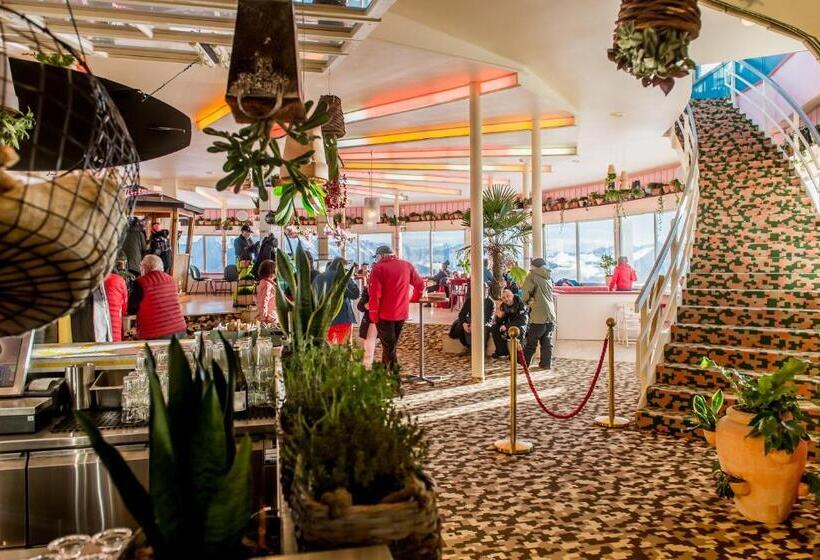 Galaaxy Mountain Hostel