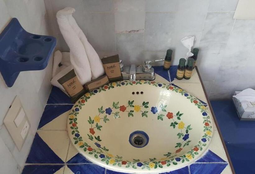 Hill House Mazatlan   Bed & Breakfast