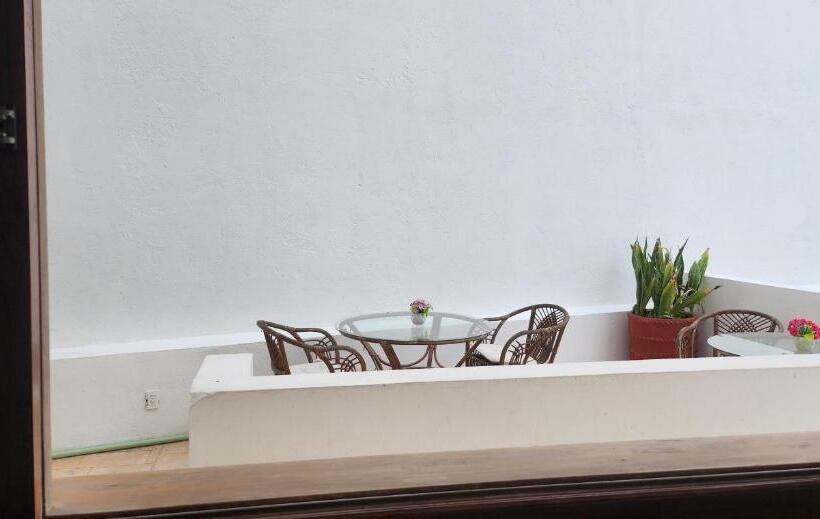 Hill House Mazatlan   Bed & Breakfast