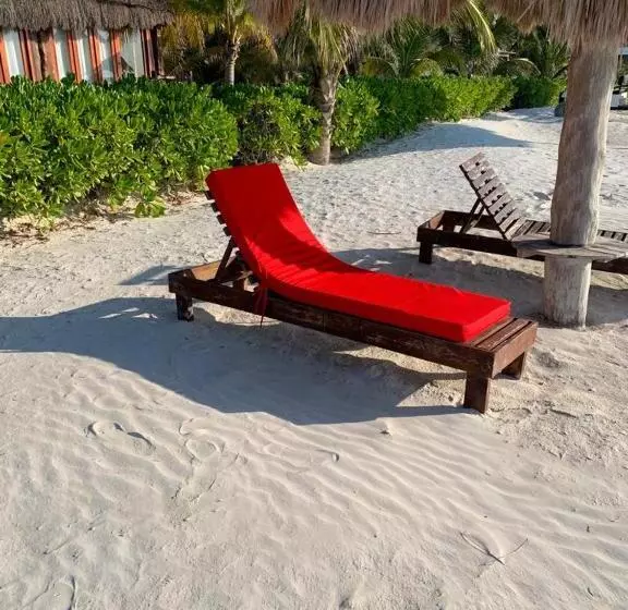 هتل Rhincodon Typus, Holbox Eco•boutique•palapas