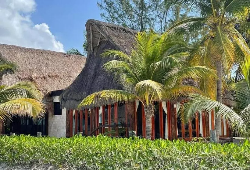 هتل Rhincodon Typus, Holbox Eco•boutique•palapas