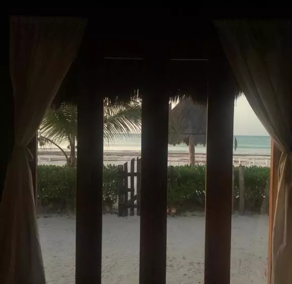 هتل Rhincodon Typus, Holbox Eco•boutique•palapas