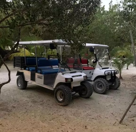 هتل Rhincodon Typus, Holbox Eco•boutique•palapas