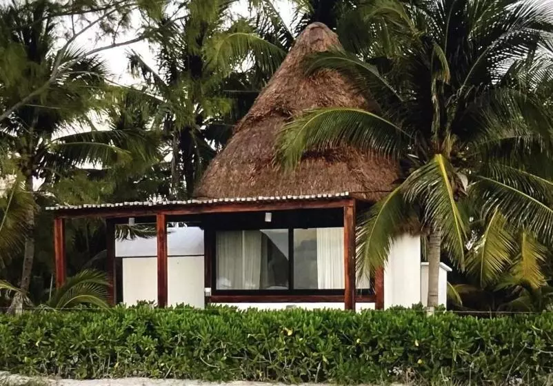 هتل Rhincodon Typus, Holbox Eco•boutique•palapas