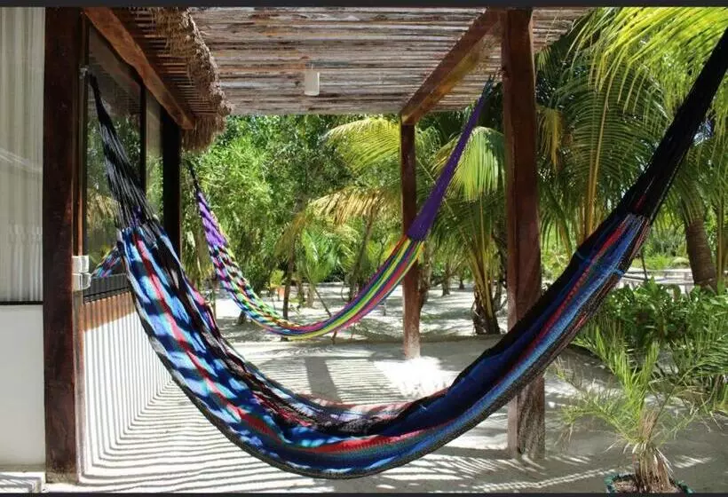 هتل Rhincodon Typus, Holbox Eco•boutique•palapas