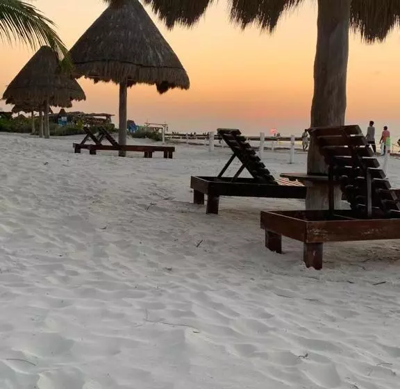 هتل Rhincodon Typus, Holbox Eco•boutique•palapas