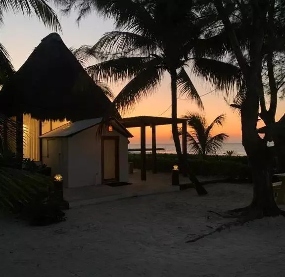 هتل Rhincodon Typus, Holbox Eco•boutique•palapas