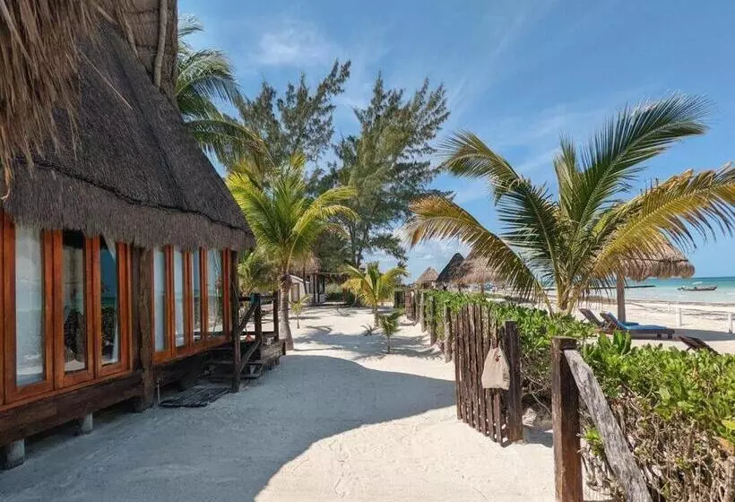 هتل Rhincodon Typus, Holbox Eco•boutique•palapas