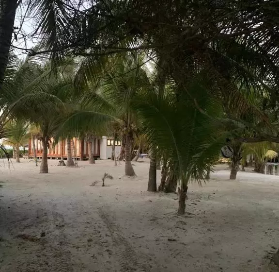 هتل Rhincodon Typus, Holbox Eco•boutique•palapas