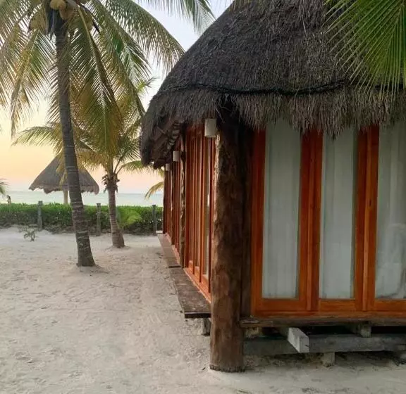 هتل Rhincodon Typus, Holbox Eco•boutique•palapas
