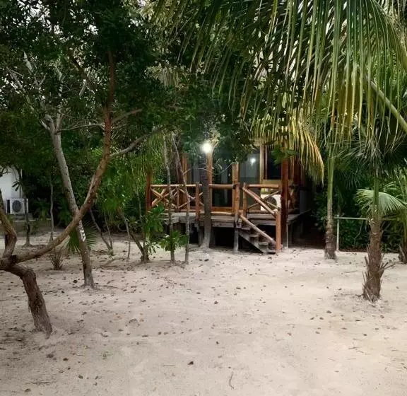 هتل Rhincodon Typus, Holbox Eco•boutique•palapas