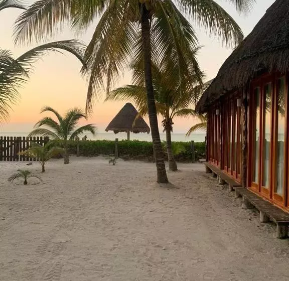 هتل Rhincodon Typus, Holbox Eco•boutique•palapas