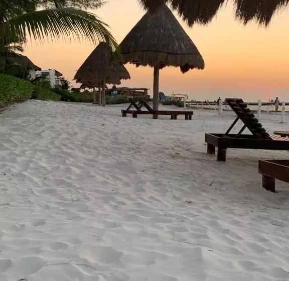 هتل Rhincodon Typus, Holbox Eco•boutique•palapas