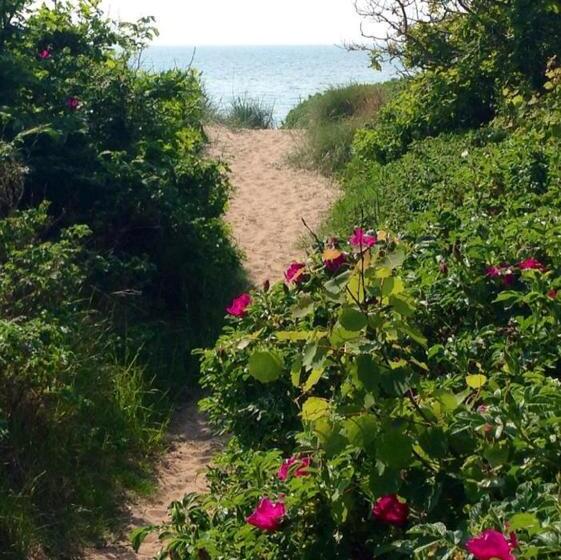 Vejbystrands Vandrarhem