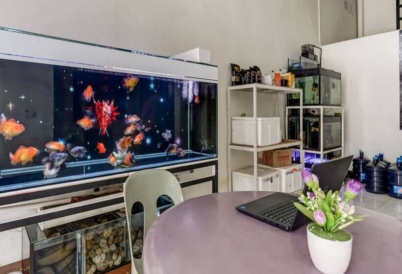 호텔 Jeje Homestay By Oyo Rooms