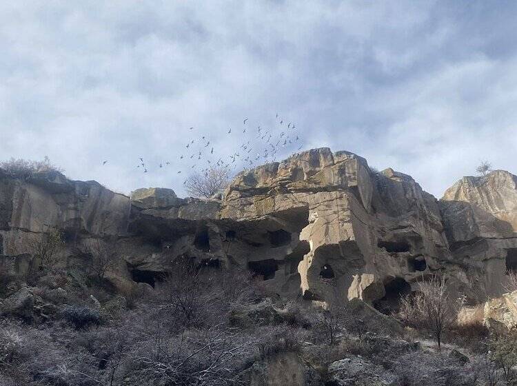 Yeşilöz Inn Cave Otel