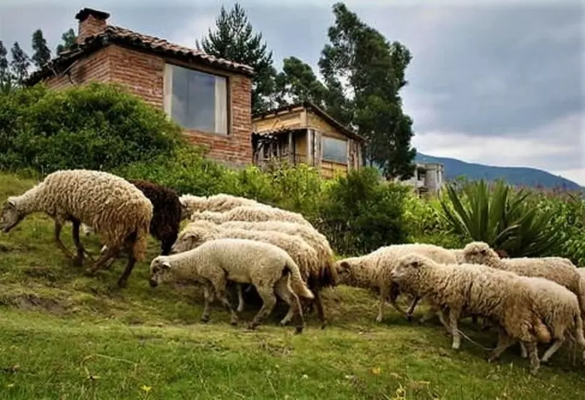 Hotelli Cabañas Balcón Del Lago