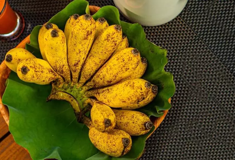 Hotelli Leopard Reach Yala By Seven Angels