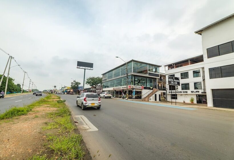 Hotel Prados Del Sur